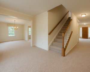 Best Residential Carpet Cleaning