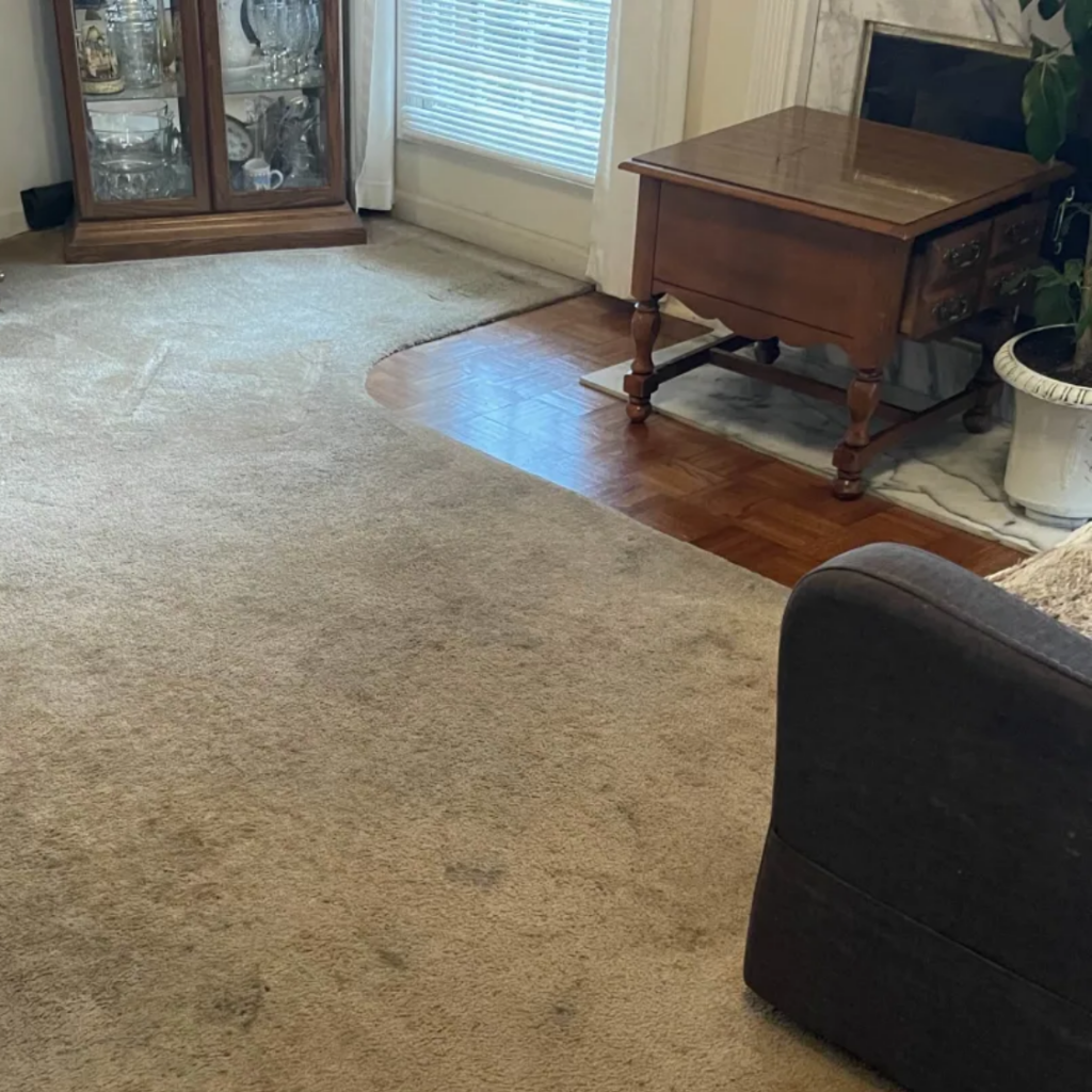 Carpet problem