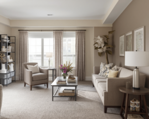 Carpet Cleaning